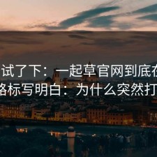 刚刚试了下：一起草官网到底在哪？我把路标写明白：为什么突然打不开？