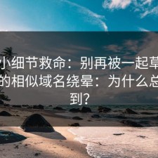 一个小细节救命：别再被一起草备用网址的相似域名绕晕：为什么总找不到？