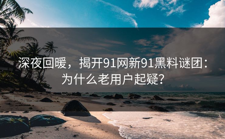深夜回暖，揭开91网新91黑料谜团：为什么老用户起疑？  第1张