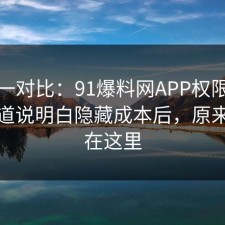 数据一对比：91爆料网APP权限这波把门道说明白隐藏成本后，原来关键在这里