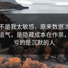 原来不是我太敏感，原来数据泄露不是看运气，是隐藏成本在作祟，最吃亏的是沉默的人