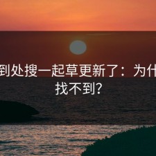 别再到处搜一起草更新了：为什么总找不到？