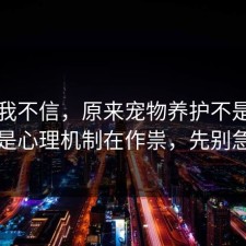 以前我不信，原来宠物养护不是看运气，是心理机制在作祟，先别急着骂