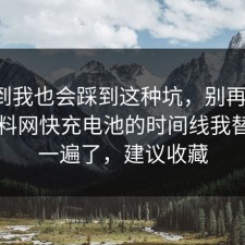 没想到我也会踩到这种坑，别再硬扛：91爆料网快充电池的时间线我替你捋一遍了，建议收藏