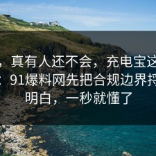 别笑，真有人还不会，充电宝这样做最稳：91爆料网先把合规边界捋一遍明白，一秒就懂了