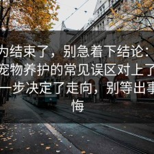 你以为结束了，别急着下结论：91爆料网宠物养护的常见误区对上了，91网 这一步决定了走向，别等出事才后悔