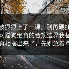 今天被狠狠上了一课，别再硬扛：91爆料网猫狗绝育的合规边界我替你把真相摆出来了，先别急着骂