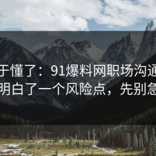 我终于懂了：91爆料网职场沟通这次让我明白了一个风险点，先别急着骂