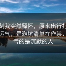 那一刻我突然释怀，原来出行打车不是看运气，是避坑清单在作祟，最吃亏的是沉默的人