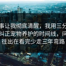 这件事让我彻底清醒，我用三分钟把误区纠正宠物养护的时间线，问题往往出在看完少走三年弯路