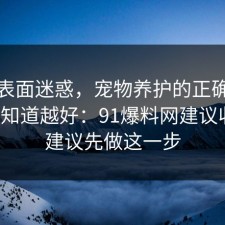 别被表面迷惑，宠物养护的正确做法越早知道越好：91爆料网建议收藏，建议先做这一步