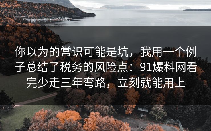 你以为的常识可能是坑，我用一个例子总结了税务的风险点：91爆料网看完少走三年弯路，立刻就能用上  第1张