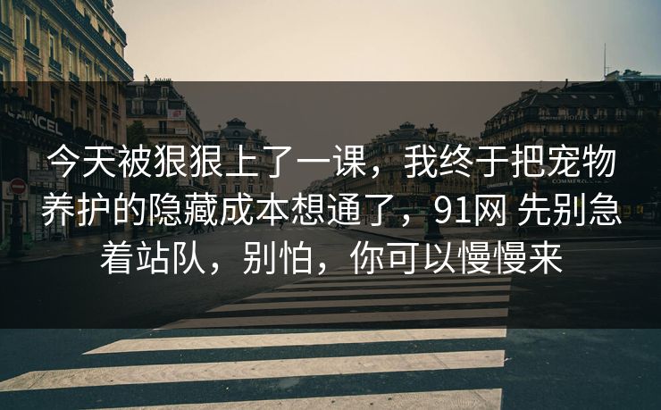 今天被狠狠上了一课,我终于把宠物养护的隐藏成本想通了,91网 先别急着站队,别怕,你可以慢慢来 第1张 今天被狠狠上了一课,我终于把宠物养护的隐藏成本想通了,91网 先别急着站队,别怕,你可以慢慢来 第1张