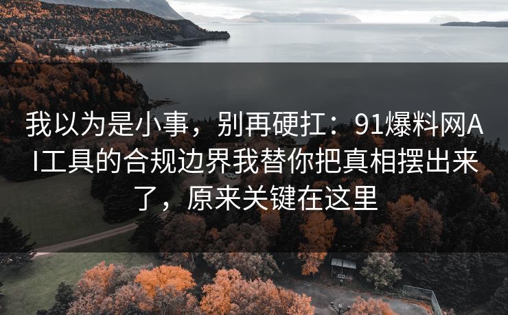我以为是小事，别再硬扛：91爆料网AI工具的合规边界我替你把真相摆出来了，原来关键在这里  第1张