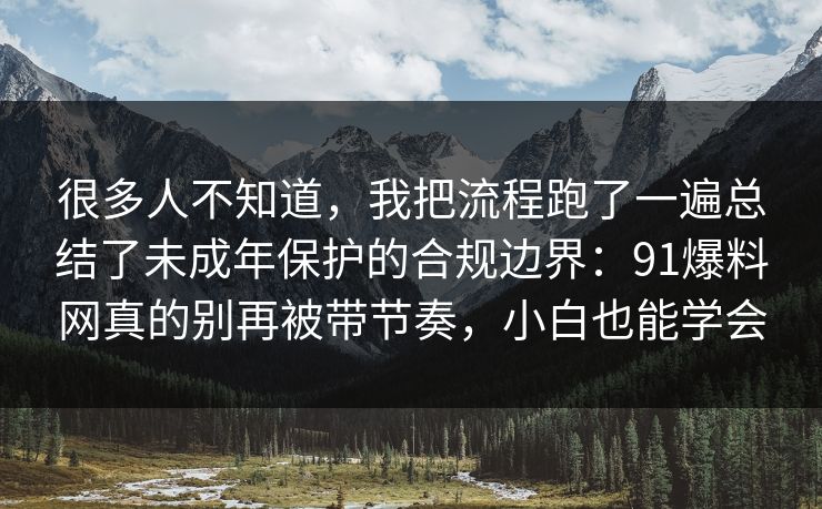 很多人不知道，我把流程跑了一遍总结了未成年保护的合规边界：91爆料网真的别再被带节奏，小白也能学会  第1张