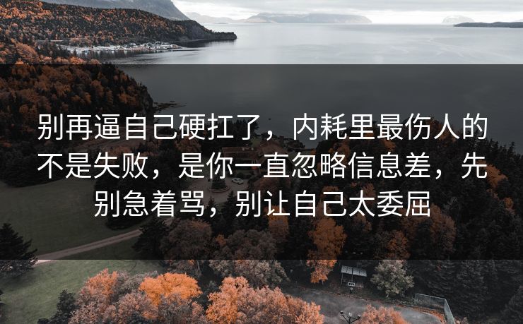 别再逼自己硬扛了，内耗里最伤人的不是失败，是你一直忽略信息差，先别急着骂，别让自己太委屈